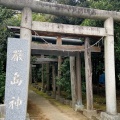 実際訪問したユーザーが直接撮影して投稿した弁天神社厳島神社の写真