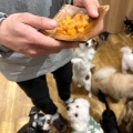 実際訪問したユーザーが直接撮影して投稿したりんくう町カフェpuppy cafe Rio 常滑店の写真