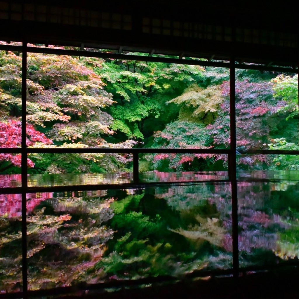 実際訪問したユーザーが直接撮影して投稿した上高野東山寺瑠璃光院の写真