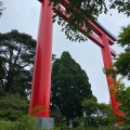 実際訪問したユーザーが直接撮影して投稿した隼人町西光寺神社霧島神社の写真