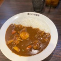 焙煎スパイス - 実際訪問したユーザーが直接撮影して投稿した赤堤カレーカレーハウス CoCo壱番屋 下高井戸駅前店の写真のメニュー情報