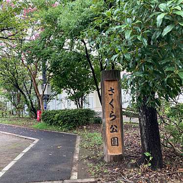 実際訪問したユーザーが直接撮影して投稿した新白岡公園新白岡さくら公園の写真