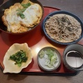 かつ丼と麺 - 実際訪問したユーザーが直接撮影して投稿した玉川和食 / 日本料理和食麺処サガミ 三島玉川店の写真のメニュー情報