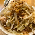 実際訪問したユーザーが直接撮影して投稿した一乗寺里ノ前町ラーメン / つけ麺ラーメン二郎 京都店の写真