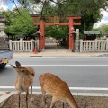 実際訪問したユーザーが直接撮影して投稿した春日野町神社氷室神社の写真