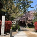 実際訪問したユーザーが直接撮影して投稿した野町寺本長寺の写真