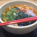 かけうどん - 実際訪問したユーザーが直接撮影して投稿した池田その他飲食店日本平食堂の写真のメニュー情報