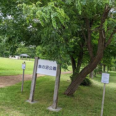 実際訪問したユーザーが直接撮影して投稿した東光町公園泉の沼公園の写真