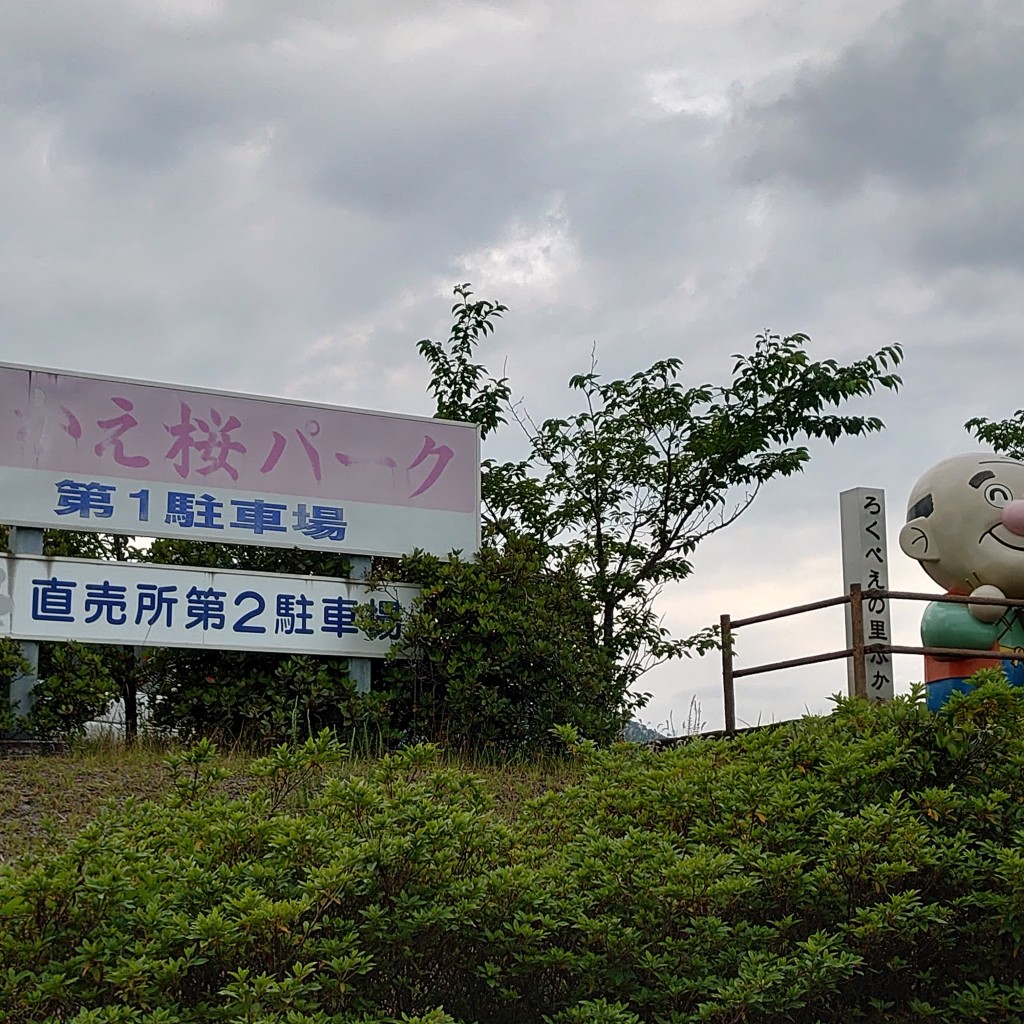 実際訪問したユーザーが直接撮影して投稿した深江町丁公園ふかえ桜パークの写真