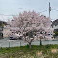 実際訪問したユーザーが直接撮影して投稿した河川境川の写真