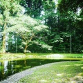 実際訪問したユーザーが直接撮影して投稿した香取神社香取神宮の写真