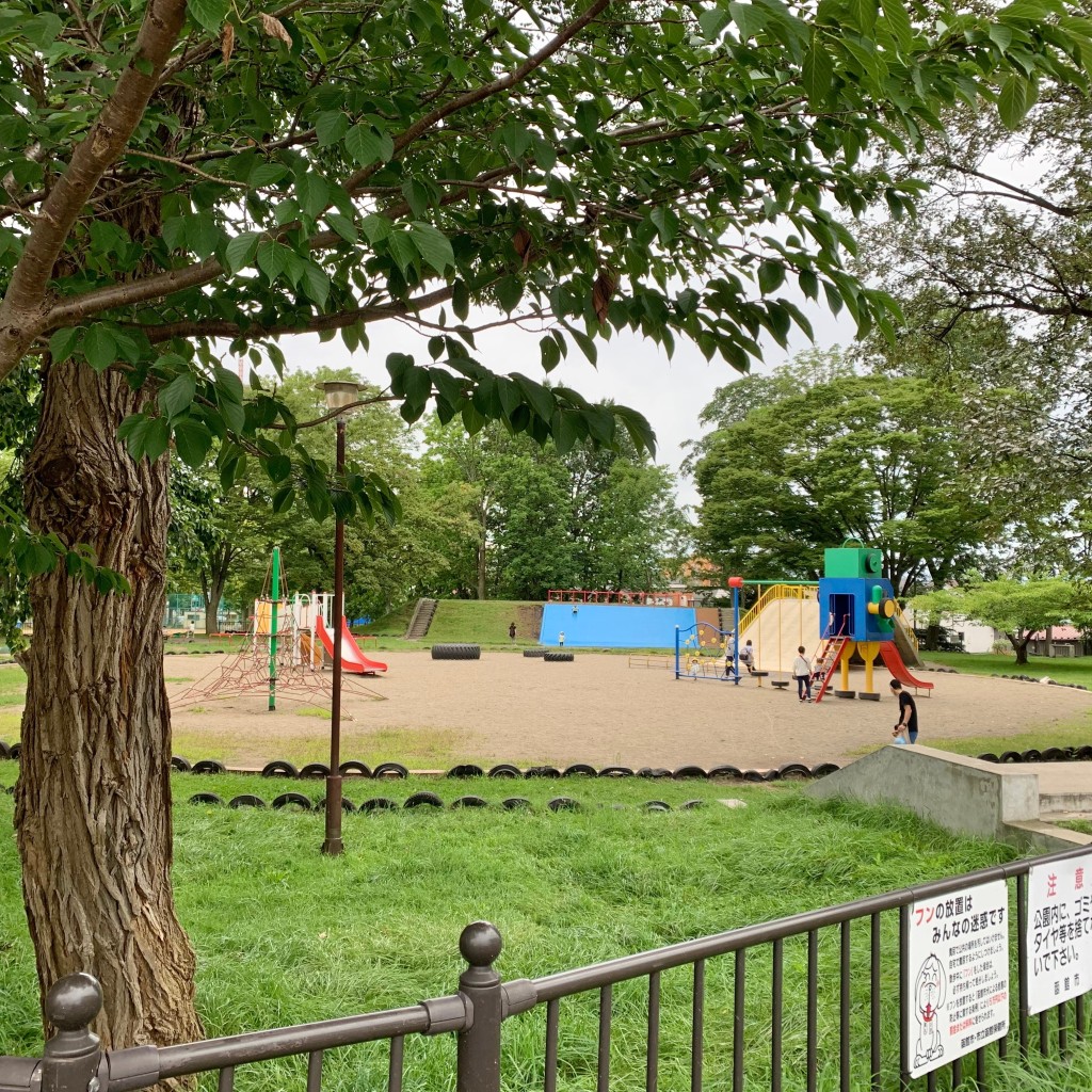 実際訪問したユーザーが直接撮影して投稿した大川町公園大川公園の写真