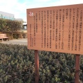 実際訪問したユーザーが直接撮影して投稿した中央公園けやき通りポケットパークの写真