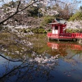 実際訪問したユーザーが直接撮影して投稿した高師公園茂原公園の写真