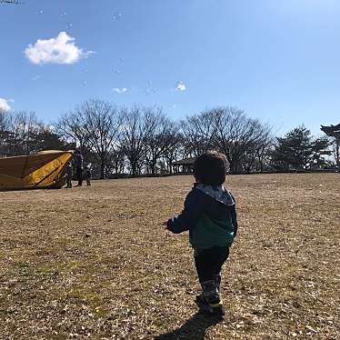 実際訪問したユーザーが直接撮影して投稿した下北手桜公園一つ森公園の写真