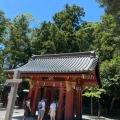 実際訪問したユーザーが直接撮影して投稿した雪ノ下神社鶴岡八幡宮 手水舎の写真