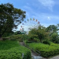 実際訪問したユーザーが直接撮影して投稿した若松町公園南公園の写真