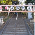 実際訪問したユーザーが直接撮影して投稿した代々木神社代々木八幡宮の写真