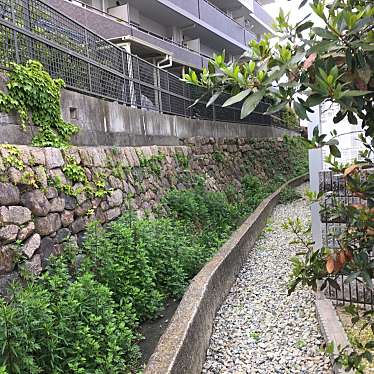 実際訪問したユーザーが直接撮影して投稿した南本町城 / 城跡有岡城跡 伊丹郷原遺跡の写真