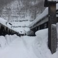 実際訪問したユーザーが直接撮影して投稿した田沢湖田沢温泉旅館乳頭温泉郷 鶴の湯の写真