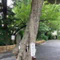 実際訪問したユーザーが直接撮影して投稿した西ケ原神社七社神社の写真