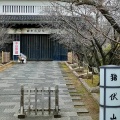 実際訪問したユーザーが直接撮影して投稿した岸城町城 / 城跡岸和田城 大手櫓門の写真