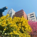 実際訪問したユーザーが直接撮影して投稿した蔵前神社蔵前神社の写真