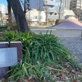 実際訪問したユーザーが直接撮影して投稿した大須公園裏門前公園の写真
