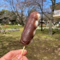 あん団子 - 実際訪問したユーザーが直接撮影して投稿した南加瀬和菓子おだんごのマルヤの写真のメニュー情報