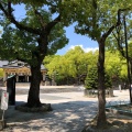 実際訪問したユーザーが直接撮影して投稿した多聞通神社湊川神社の写真