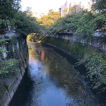 実際訪問したユーザーが直接撮影して投稿した河川神田川の写真