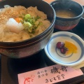 イカ丼 - 実際訪問したユーザーが直接撮影して投稿した網代魚介 / 海鮮料理あじろ食堂の写真のメニュー情報