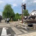 実際訪問したユーザーが直接撮影して投稿した本町町並み倉敷美観地区の写真