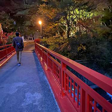 実際訪問したユーザーが直接撮影して投稿した梅ケ島温泉地梅ケ島温泉の写真