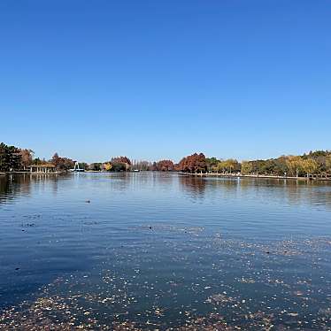 水元公園のundefinedに実際訪問訪問したユーザーunknownさんが新しく投稿した新着口コミの写真