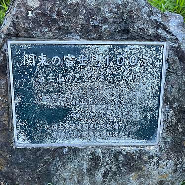 ukicyaさんが投稿した館山城 / 城跡のお店館山城/タテヤマジョウの写真