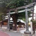 実際訪問したユーザーが直接撮影して投稿した湯島神社湯島天神の写真