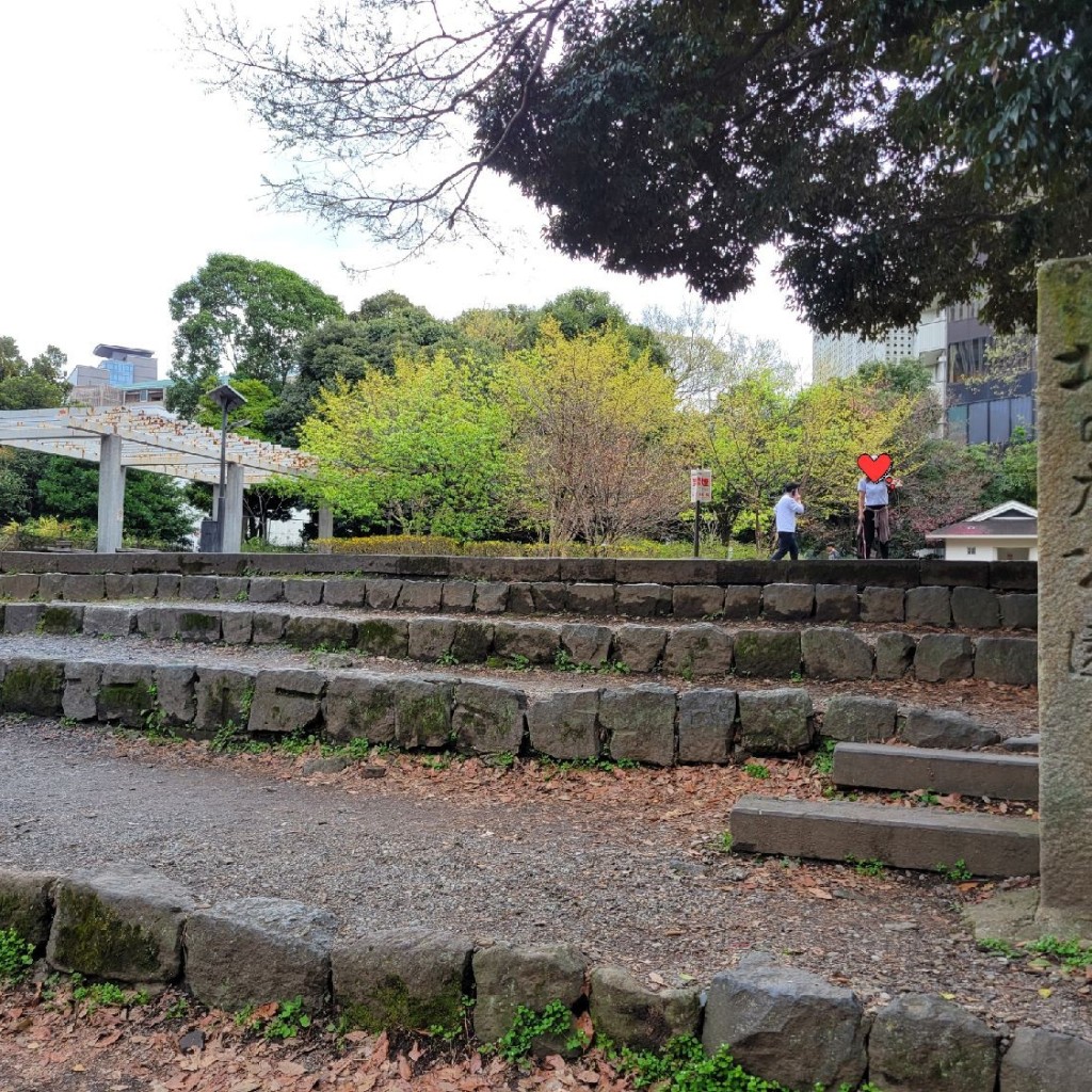 実際訪問したユーザーが直接撮影して投稿した北の丸公園公園北の丸公園の写真