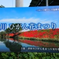 実際訪問したユーザーが直接撮影して投稿した南濃町津屋花のきれいなスポット津屋川堤防の写真