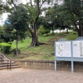 実際訪問したユーザーが直接撮影して投稿した老松町公園野毛山公園の写真