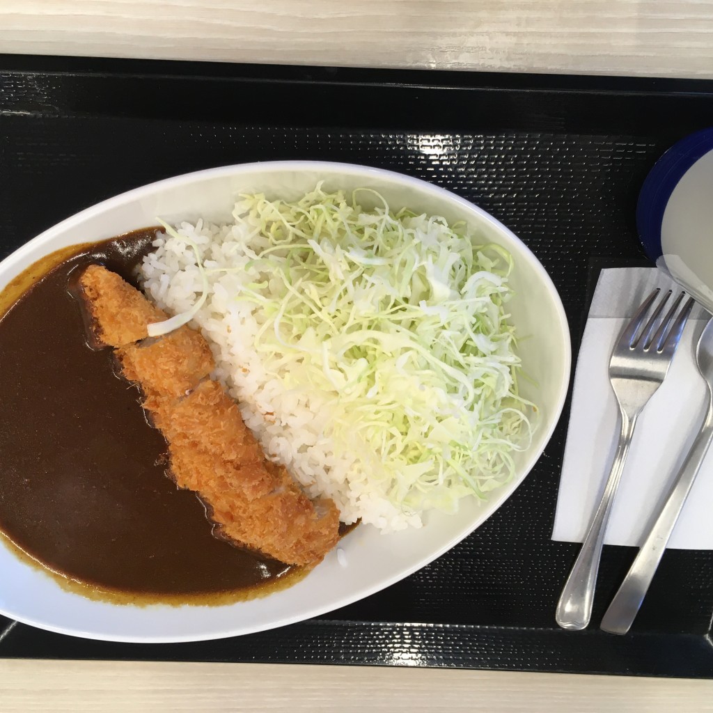 ユーザーが投稿したカツカレー(梅)の写真 - 実際訪問したユーザーが直接撮影して投稿した城下とんかつかつや 八戸城下店の写真