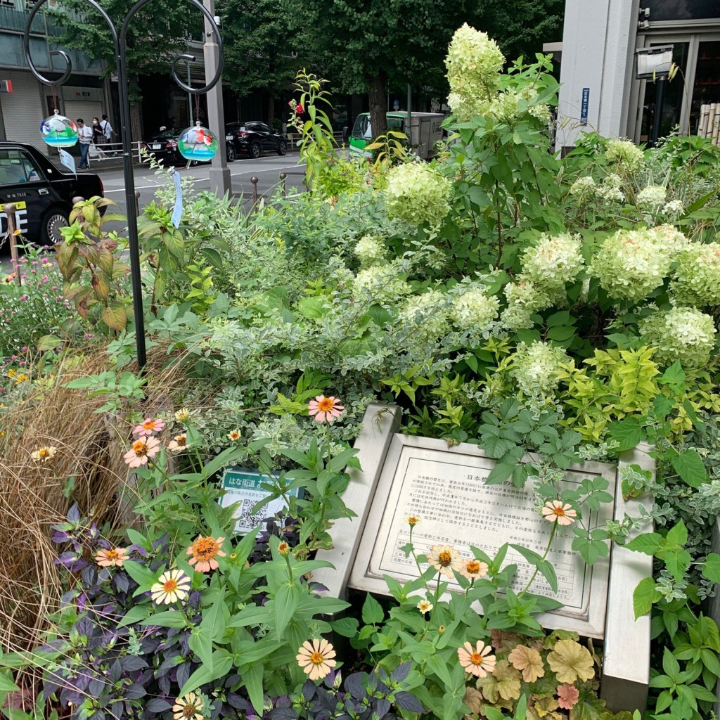 実際訪問したユーザーが直接撮影して投稿した日本橋広場花の広場の写真