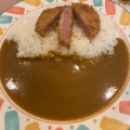 ハムカツカレー - 実際訪問したユーザーが直接撮影して投稿した西新宿カレーカレーハウス11イマサの写真のメニュー情報