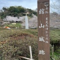 実際訪問したユーザーが直接撮影して投稿した館山公園城山公園の写真