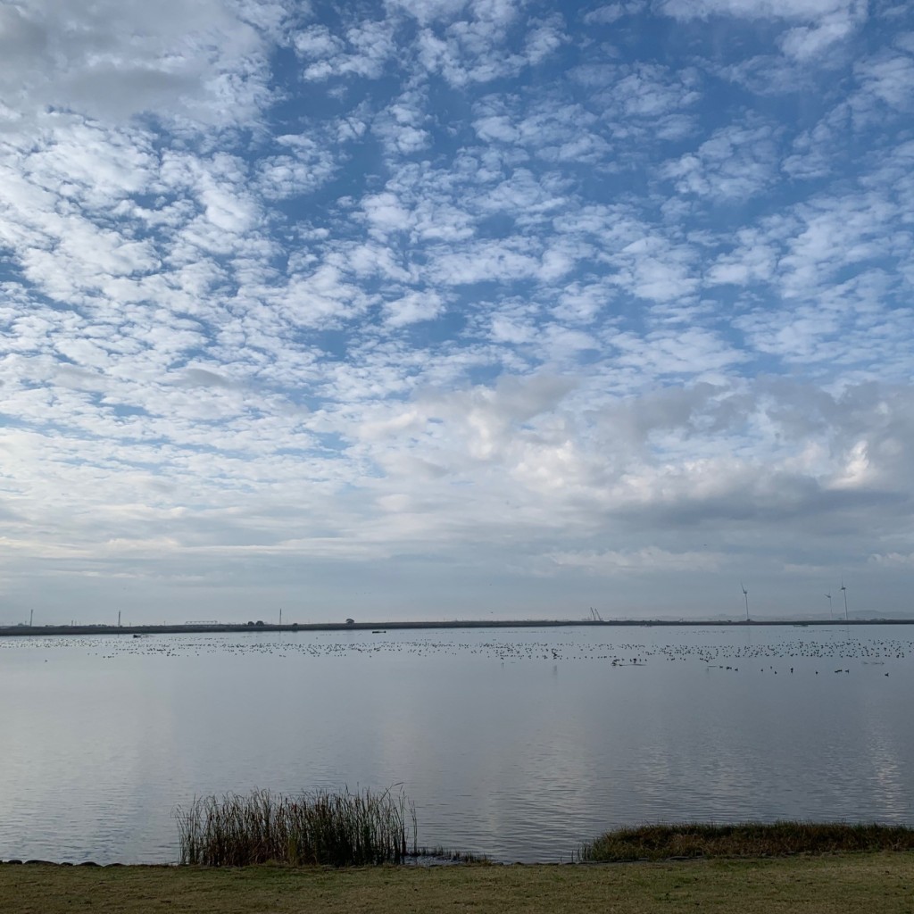 実際訪問したユーザーが直接撮影して投稿した十三湖沼 / 池十三湖の写真