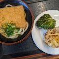 きつねうどん - 実際訪問したユーザーが直接撮影して投稿した八木そばさぬきうどん食堂つるりの写真のメニュー情報