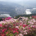 実際訪問したユーザーが直接撮影して投稿した柚木公園冨士山公園の写真