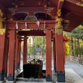 実際訪問したユーザーが直接撮影して投稿した雪ノ下神社鶴岡八幡宮 手水舎の写真