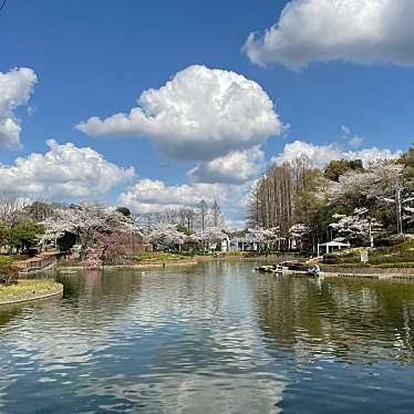 実際訪問したユーザーが直接撮影して投稿した上野田公園さぎ山記念公園の写真