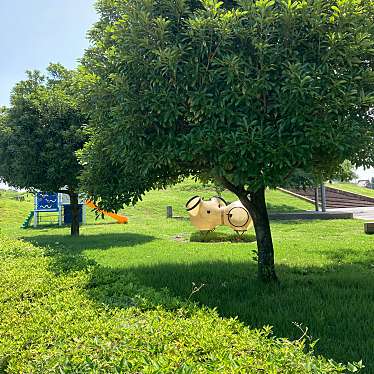 実際訪問したユーザーが直接撮影して投稿したしらさぎ公園しらさぎ公園の写真